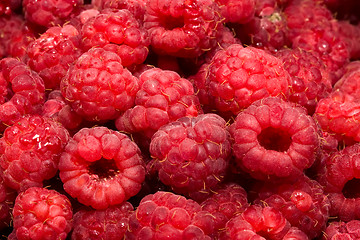 Image showing Raspberries