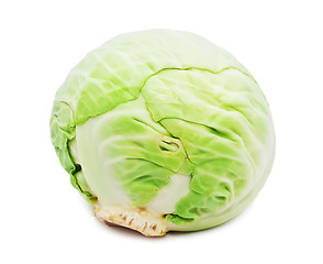 Image showing Cabbage