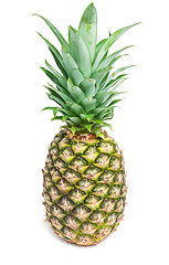 Image showing Pineapple