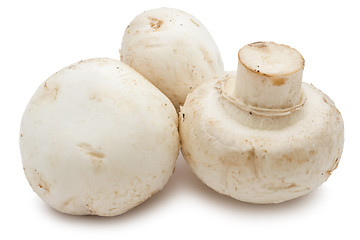 Image showing Champignon mushrooms