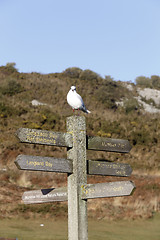 Image showing Mumbles signpost