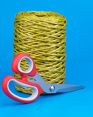 Image showing Bamboo Thread and Scissors