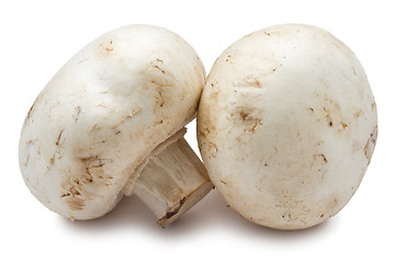 Image showing Champignon mushrooms