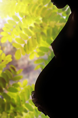 Image showing Pregnancy and nature