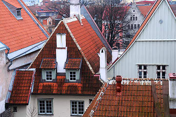 Image showing Old Town Houses in Tallinn