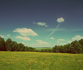 Image showing summer landscape - vintage retro style