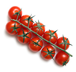 Image showing cherry tomatoes isolated on white