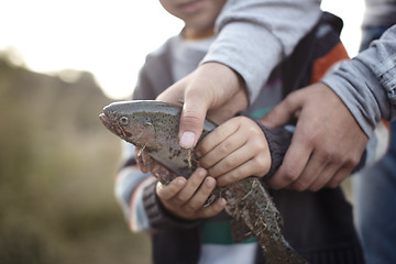 Image showing Fishery