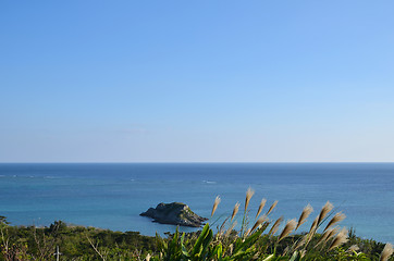 Image showing Tropical coast view