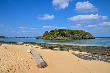 Image showing Tropical coast