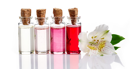 Image showing Bottles of Spa essential oils 