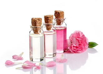 Image showing Bottles of Spa essential oils 