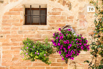 Image showing Tuscan flowers