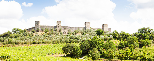 Image showing Wineyard in Tuscany