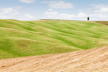 Image showing Tuscany agriculture