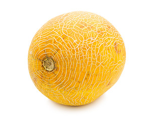 Image showing Melon