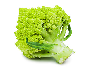 Image showing Romanesco broccoli