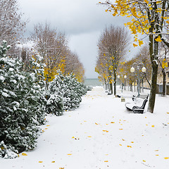 Image showing Alley in the Park later in the autumn. Snow storm 