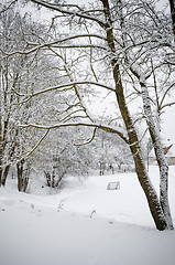 Image showing Winter landscape with a pond in the countryside