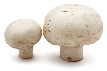 Image showing Champignon mushrooms