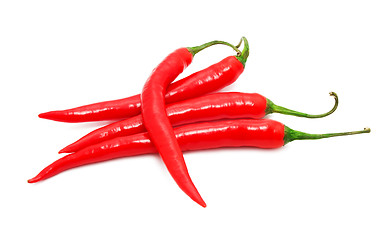 Image showing Hot chili pepper