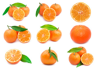 Image showing Mandarins