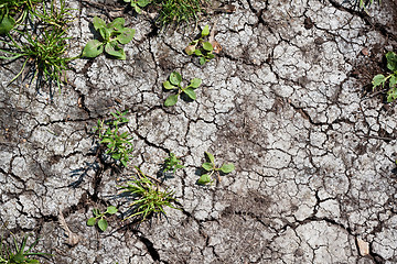 Image showing Dry land