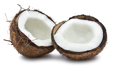 Image showing Coconut