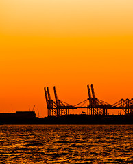 Image showing Port with Cranes