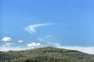 Image showing Wooded hill Tuscany