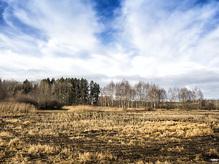 Image showing Grassland