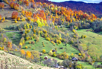 Image showing Meadow and forest in autumn.