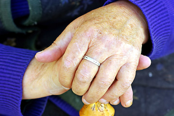 Image showing Old woman's hand
