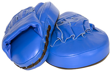 Image showing Blue mitts