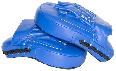 Image showing Blue mitts cutout