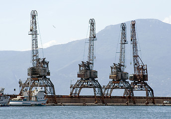 Image showing Cranes