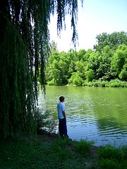 Image showing River Reflections