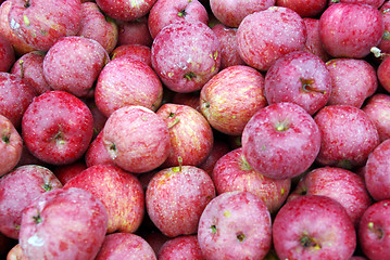 Image showing Red apples texture