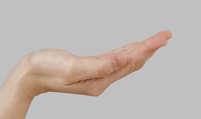 Image showing White hand on perfect gray background