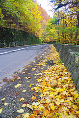 Image showing Autumn road