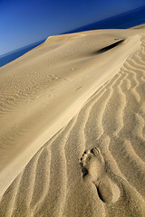 Image showing Dune Footprint