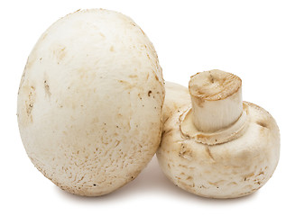 Image showing Champignon mushrooms