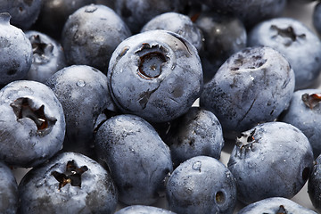 Image showing Blueberries