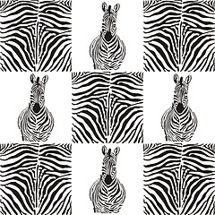 Image showing Pattern zebras for textiles