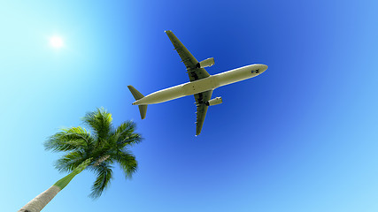Image showing Airplane over the palm tree