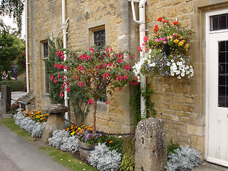 Image showing Flowers in a garden