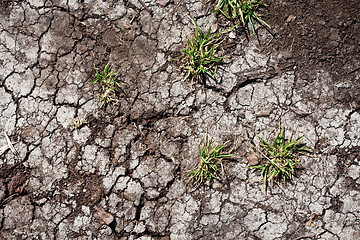 Image showing Dry land