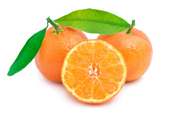 Image showing Tangerines