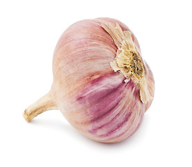 Image showing Garlic