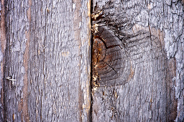 Image showing Rustic Wooden Background